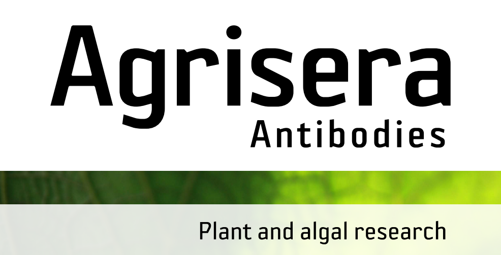 Agrisera MicroRNA相關研究植物蛋白抗體火熱促銷中！